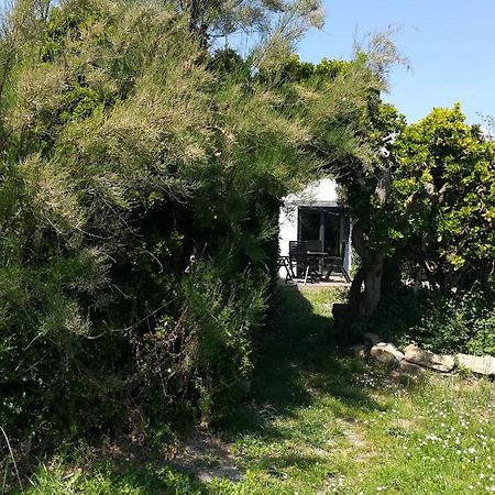 4. Ty Gevred A 500M De L'Ocean Villa Saint-Jean-Trolimon Exterior foto